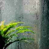 6月 挨拶 カジュアル